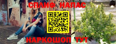 индика Нарткала