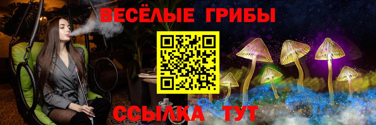 Галлюциногенные грибы GOLDEN TEACHER  Вход с VPN  Славянск-на-Кубани 